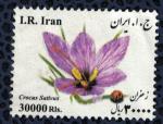 Iran Used Crocus Sativus Safran