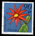 Pologne Yvert N2599 Oblitr 1991 Fleur cactus EPIPHYLLOPSIS GAERTNERI