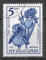 BULGARIE - 1985 - Yt n 2956 - Ob - Fleurs ; iris germanica L