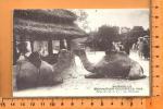 MARSEILLE: Exposition Coloniale 1922, Palais de l' A.O.F., les chameaux