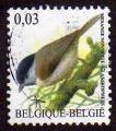 Belgique/Belgium 2005 - Oiseau/Bird : msange nonette - YT 3374 