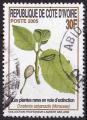 Timbre oblitr n 1243(Yvert) Cte d'Ivoire 2005 - Plantes rares en extinction