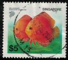 Singapour 2002 Used Poisson Symphysodon aequifasciata Discus Red Alenquer SU