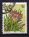 AFRIQUE DU SUD N 416 Y&T o 1977 fleurs (protea repens)