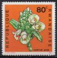 RWANDA N 256 *(nsg) Y&T 1968 Fleurs (Cactus) 