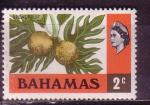 Bahamas  "1971"  Scott No. 314  (N*)