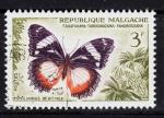 AF28 - Anne 1960 - Yvert n 345 - Diadme de Madagascar (Hypolimnas dexithea)