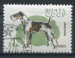 Timbre Russie & URSS 1965  Obl   N 2921   Y&T  Chien