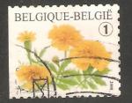 Belgium - SG 4174a   flower / fleur