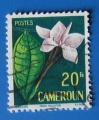 Cameroun 1958 - Nr 307 - Fleur Randia (obl)