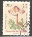 German Democratic Republic - Scott 1538   mushroom / champignon