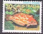 AUSTRALIE N 867 de 1984 oblitr