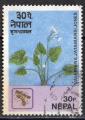Npal 1980; Y&T 364; 30p, flore, fleur