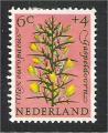 Netherlands - NVPH 739 mng  flower / fleur