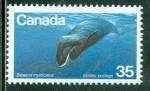 Canada 1979 Y&T 700 NEUF  Baleine franche