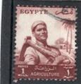 Timbre Egypte / Oblitr / 1954 / Y&T N365.