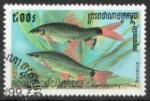 Cambodge Yvert N1668 Oblitr 1999 Poisson "Epalzeorhynchos frenatum"