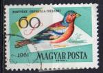 HONGRIE N 1480 o Y&T 1961 Oiseaux (Pinson des arbres)
