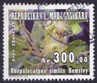 Timbre oblitr n 1902(Yvert) Madagascar 2010 - Fleurs