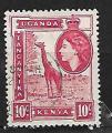 Kenya Uganda Tanganyika 1954 YT n° 91 (o)