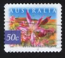 Australie 2002 Oblitr Used Stamp Fleur Desert Star Flower