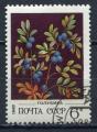 Timbre RUSSIE & URSS  1982  Obl   N  4888   Y&T   Fruit Airelle des marais