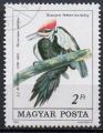 HONGRIE N 2985 o Y&T 1985 Oiseaux (Dryocopus pileatus) 