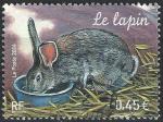 FRANCE - 2004 - Yt n 3662 - Ob - Animaux de la ferme : le lapin