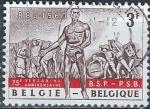 Belgique - 1960 - Y & T n 1132 - O.