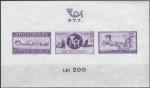 Roumanie - 1944 - Y & T n 13 Blocs & feuillets - MH (lger pli)