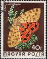 Hongrie 1974 Y&T 2394 oblitr Faune Insecte Papillon