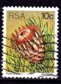 AF01 - Anne 1977 - Yvert n 425 - Ladismith Sugarbush (Protea aristata)