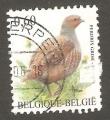 Belgium - Y&T 3365  bird / oiseau
