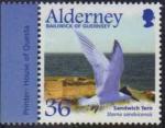 Alderney (Aurigny) 2003 - Oiseau de mer : sterne caugek - YT 215/SG 212 **