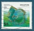 Singapour N1122 Poisson tropical - Symphysodon aequifasciata oblitr