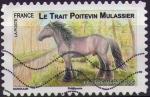 819 - Srie chevaux : Le Trait Poitevin Mulassier - oblitr - anne 2013