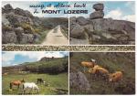 Carte Postale Moderne non crite Lozre 48 - Le Mont Lozre