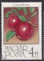 HONGRIE- 1986 - Fruit - Yvert 3061 Oblitéré