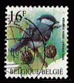 Belgique 1999 - Y&T 2804 - oblitr - oiseau (msange noire)