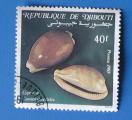 Djibouti 1985 - Nr 612 - Coquillage Camelocardalis (Obl)