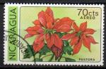 NICARAGUA N PA 929 o Y&T 1979 Fleurs (Poinsettia)
