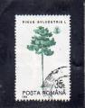 Roumanie oblitr n 4161 Pinus sylvestris RO17007
