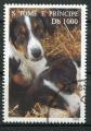 Timbre S. TOME THOME & PRINCIPE 1995 Obl N 1???  Y&T Chiens