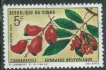 Congo - Brazzaville - Y&T 0271 (o) - 1970 -