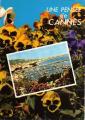  CANNES (06) - Vue panoramique et penses (fleurs) - 1989