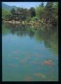 CPM neuve  Chine Viewing Fish in a Flowery Pond, voir le poisson dans l'tang fleuri  Hangzhou