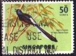 Singapour/Singapore 1962 - Oiseu/Bird : shama  croupion blanc - YT 61  
