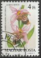 Timbre oblitr n 3131(Yvert) Hongrie 1987 - Fleurs, orchides Ophrys