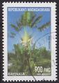 Timbre oblitr n 1835(Yvert) Madagascar 2002 - Flore, Ravinala
