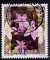 Timbre oblitr n 1749(Yvert) Suisse 2003 - Fleurs Centaurium